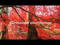 Tamil Christian Song WhatsApp Status Song Maravaamal Ninaitheeraya