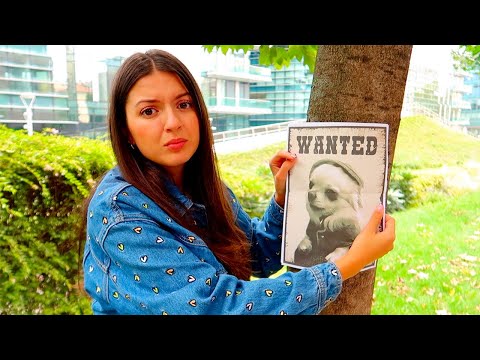 HO PERSO IL NOSTRO CAGNOLINO RAY AL PARCO!!