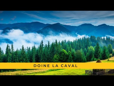 Dor de codru - Doine la caval