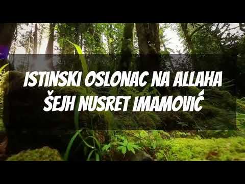 Istinski oslonac na Allaha | Šejh Nusret Imamović |