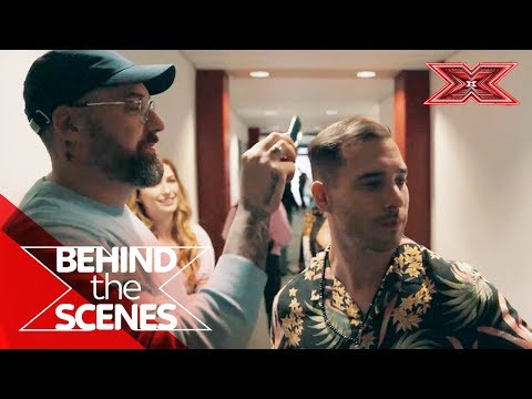 Iggy bekommt die Haare gemacht