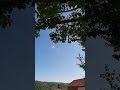 Raad Al Kurdi