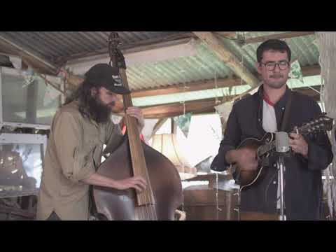 The Brothers Comatose - "Roots"