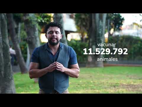 Rabia de origen silvestre: vigilancia y control en Colombia | ICA Comunica 2026