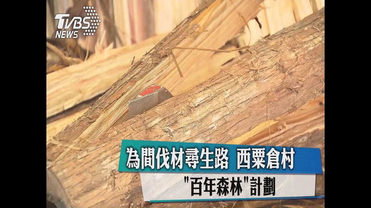 為間伐材尋生路　西粟倉村「百年森林」計劃
