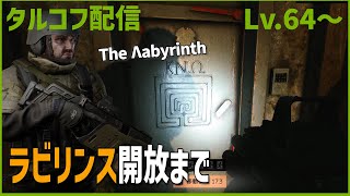 Day63【タルコフ】配信ダイジェスト「ラビリンス開放の前提タスク」