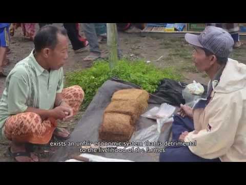 Dari Kopi Untuk Rumah Belajar