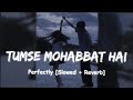 Tumse Mohabbat Hai | Slowed + Reverb | Jalraj |