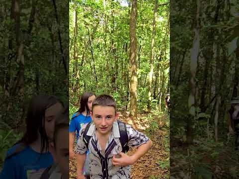 Reserva Forestal El Montuoso, Chepo, Provincia de Herrera, Las Minas, Panama