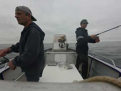 coup de bol du pêcheur debutant....