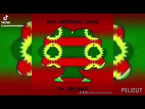 usmayoo musaa hadha biya