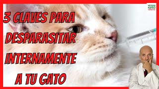 🟢  CÓMO y CUÁNDO y CON QUÉ  DESPARASITAR a un GATO INTERNAMENTE 🟢  MEJOR DESPARASITANTE INTERNO