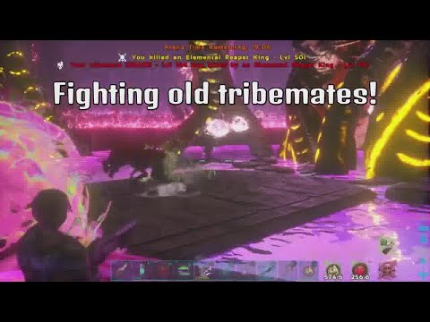 Fighting Old Tribemates! |ARK OFFICIAL PVP PS5|