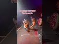 B W Live Lapdance Vor 1500 Partypeople Pony Ginuwine 90s Lapdance