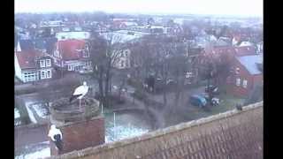 preview picture of video 'Insel Föhr, 3 Feb  2015  8 58  Two storks'