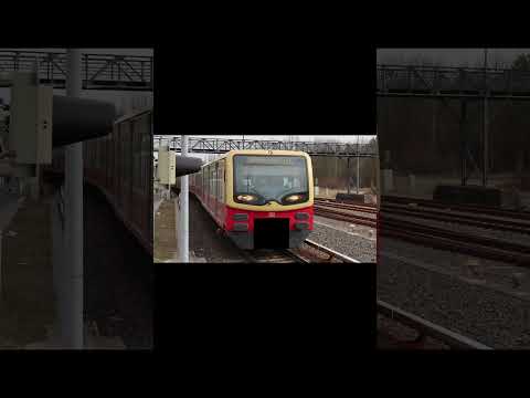 bitte alle aussteigen! #trainspotting #s5 #memes #train #sbahnberlin #ytk #railway #comedy #tram