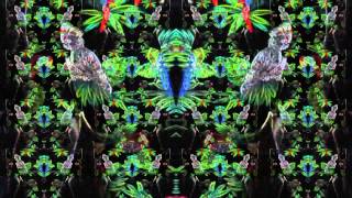 Space (Steve Kilbey)(Narcosis + More)