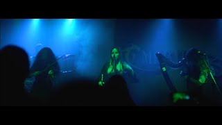 Video The Elven King (Official Music Video) 4K