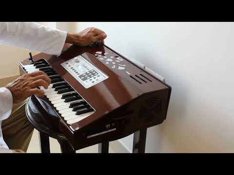 Radel Radel Maadhurium Digital 3 Octave Scale changer Harmonium 2024 - Polished image 7