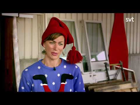 TOTALLY MAXED OUT MACHINE Rube Goldberg Machine - No 10.