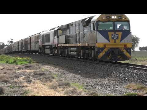 CF4410-CSR10 on 6PM9 at Pimpinio .  01-06-20.  13.17.09.