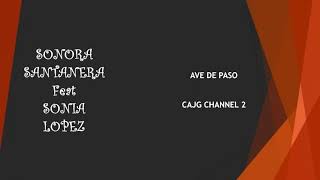 AVE DE PASO Sonora Santanera feat Sonia Lopez