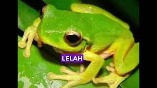 Download lagu Kelelahan (karaoke) mp3