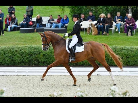 6.Finalqualifikation NÜRNBERGER BURG-POKAL 2018 – Dressurfestival Gestüt Bonhomme