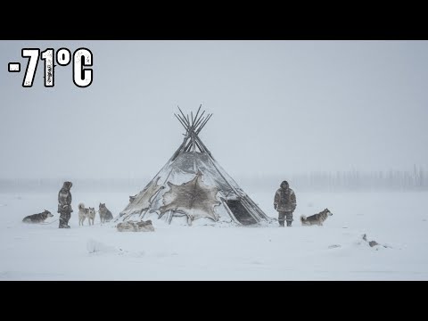 Warmest Tent on Earth - Pitching in the Siberian Arctic Winter