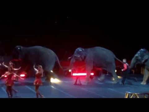 Ringling Bros. and Barnum & Bailey Circus Presents DRAGONS