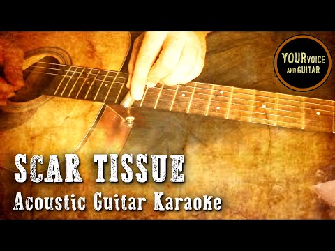 Red Hot Chili Peppers -  Scar tissue - Acoustic Guitar Karaoke