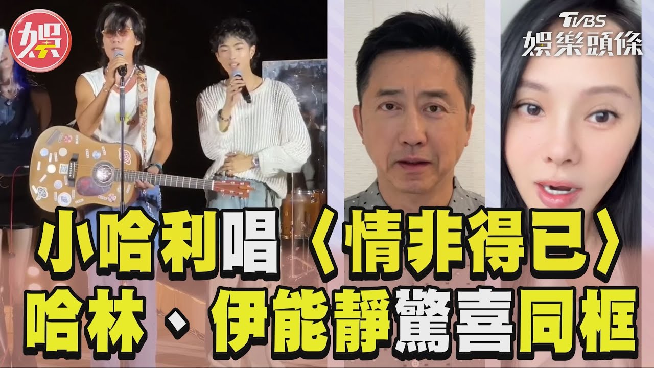 影音/小哈利初舞台飆唱〈情非得已〉 哈林、伊能靜「同框」應援