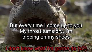 Karaoke -- The Hippos - Thinking (1999)