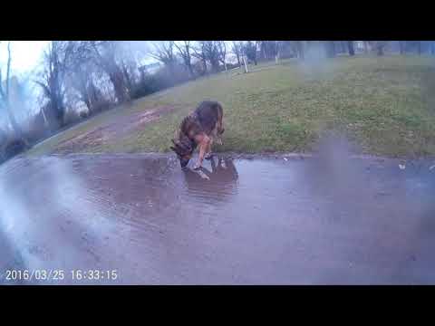 Hamida and me who claimed first a dirty VW Diesel \ it was in the near of MDR plus my voicestrengh 😊