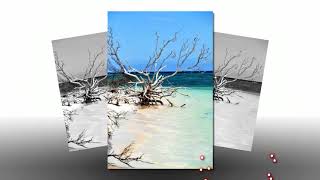 Rain in December - Bosson ( English Sub) - Made by Bee