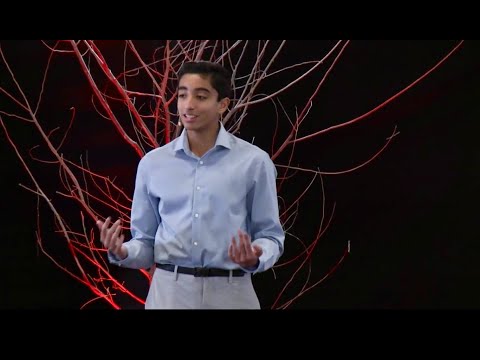 What’s Holding You Back from an Unlikely Friendship? | Dhilan Stanley | TEDxArlington Heights