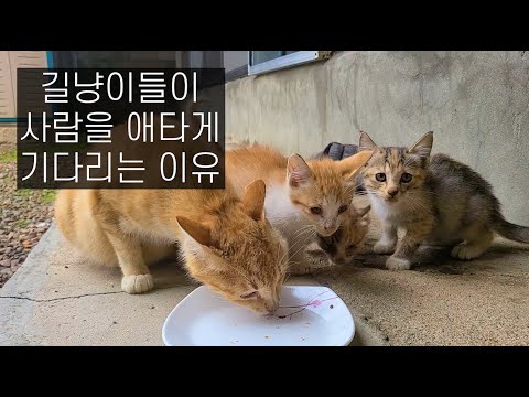 나 없으면 어떡할래 진짜