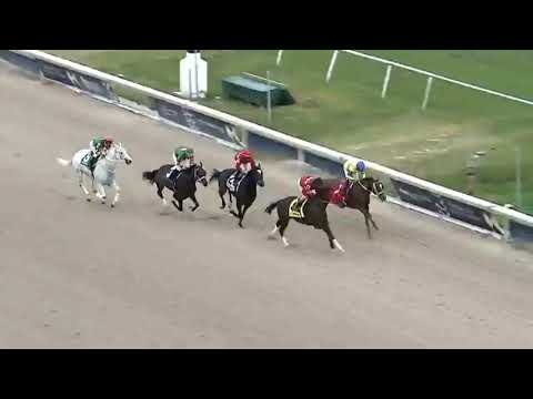 Copa confraternidad 2019