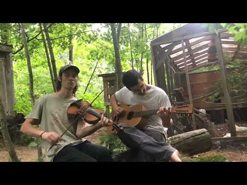 Sally Johnson (Lewis Brothers)