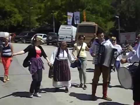 Полски туристи во Елшани