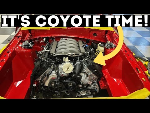 FOXBODY GETS GEN3 COYOTE SWAP!  // Going back to where it all began