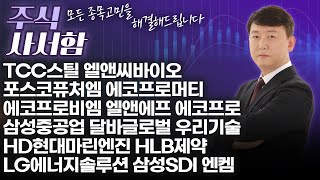 주태영의주식사서함33회251108