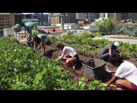 Ryerson Urban Farm - Project of the Week 5/30/16