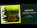 Gnaw - Barking Orders EP (2020) Promo