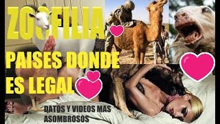 Download lagu ZOOFILIA-SEXO CON ANIMALES -PAÍSES DONDE ES LEGAL EL BESTIALISMO -HISTORIAS MAS ASOMBROSAS ZOOFILIAS mp3 Download lagu ZOOFILIA-SEXO CON ANIMALES -PAÍSES DONDE ES LEGAL EL BESTIALISMO -HISTORIAS MAS ASOMBROSAS ZOOFILIAS mp3