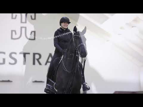 Equine Lounge - Setting a new standard of luxury and performance on horse care and well-being