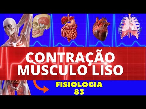 CONTRAÇÃO MUSCULAR (FISIOLOGIA DE GUYTON) - FISIOLOGIA DA CONTRAÇÃO MUSCULAR - MÚSCULO LISO