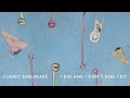 Cosmo Sheldrake I Did And I Don T And I Do