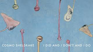 Cosmo Sheldrake - I Did And I Don’t And I Do
