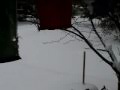 "Tibet On It" Chicago AfroBeat Project song with Live "Snow Cam" Tibetan Flags #nwasnow11